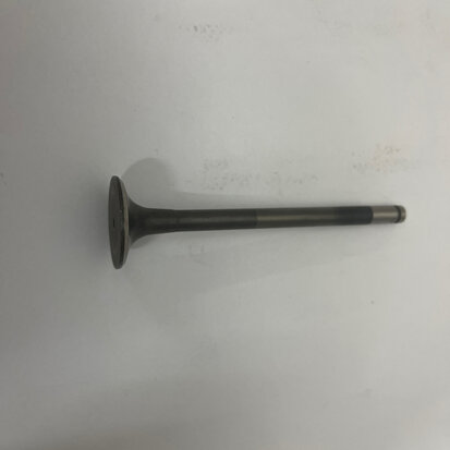 EXHAUST VALVE - 21110013A