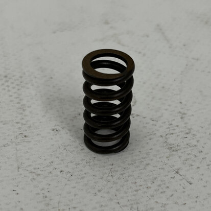 CLUTCH SPRING - 048016550