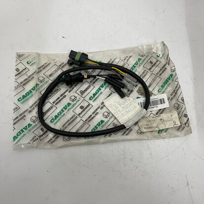 ELECTRIC WIRING - 51010411A