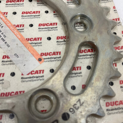 Ducati Superbike 999 Rear sprocket Z=36 - 49410811A