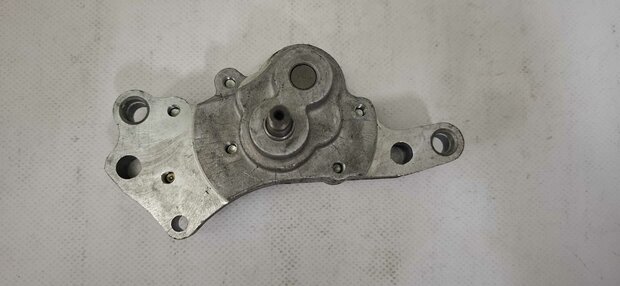 COMPL. OIL PUMP  - 24920011A - 066770200