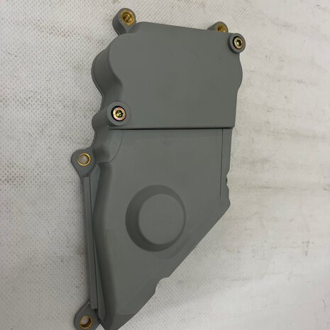 CENTRAL COVER TIMING SIDE  - 24510111ab