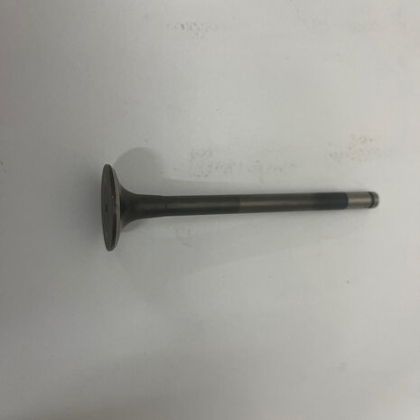 EXHAUST VALVE - 21110013A