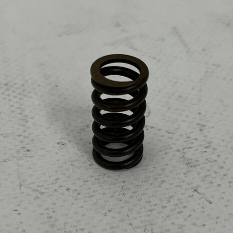 CLUTCH SPRING - 048016550