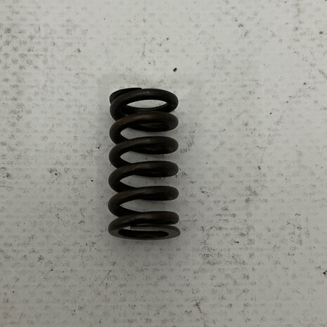 CLUTCH SPRING - 048016550