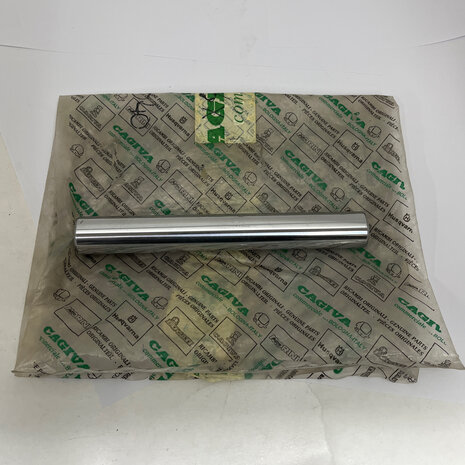 Ducati REAR FORK PIN - 066749040 750 sport pantah