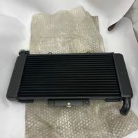 RADIATOR  - 54810011A