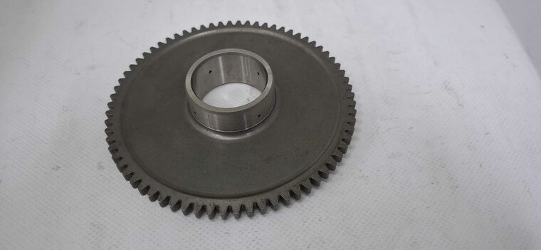 ELECTRIC STARTER DRIVEN GEAR  - 066050030