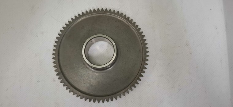 ELECTRIC STARTER DRIVEN GEAR  - 066050030