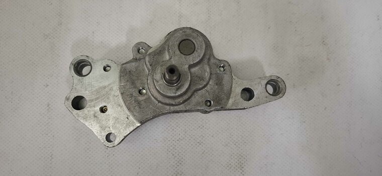 COMPL. OIL PUMP  - 24920011A